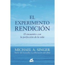 EL EXPERIMENTO RENDICIÓN