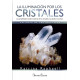 LA ILUMINACIÓN POR LOS CRISTALES