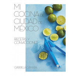 MI COCINA DE CIUDAD DE MÉXICO