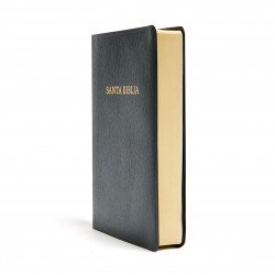 BIBLIA REINA VALERA 1960 – LETRA GRANDE