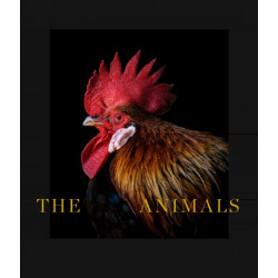 THE ANIMALS