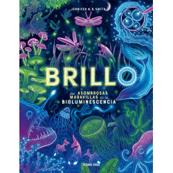 BRILLO