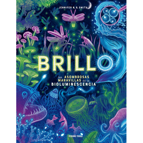 BRILLO