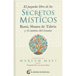 EL PEQUEÑO LIBRO DE LOS SECRETOS MISTICOS