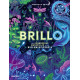 BRILLO