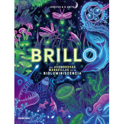 BRILLO