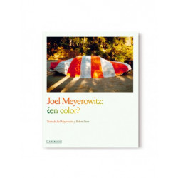 JOEL MEYEROWITZ: ¿EN COLOR?