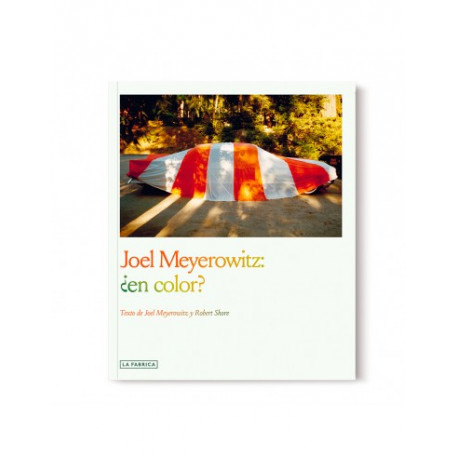 JOEL MEYEROWITZ: ¿EN COLOR?