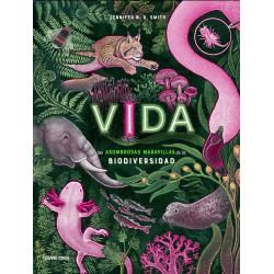 VIDA