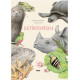 EXTINTOPEDIA