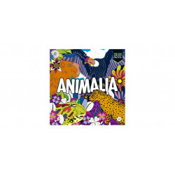 COLOR BLOCK ANIMALIA