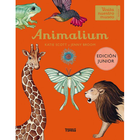 ANIMALIUM - JUNIOR EDITION