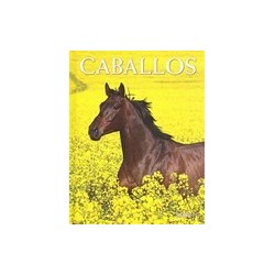 CABALLOS