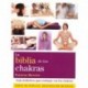 LA BIBLIA DE LOS CHAKRAS