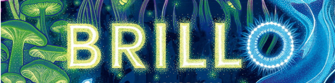 BRILLO